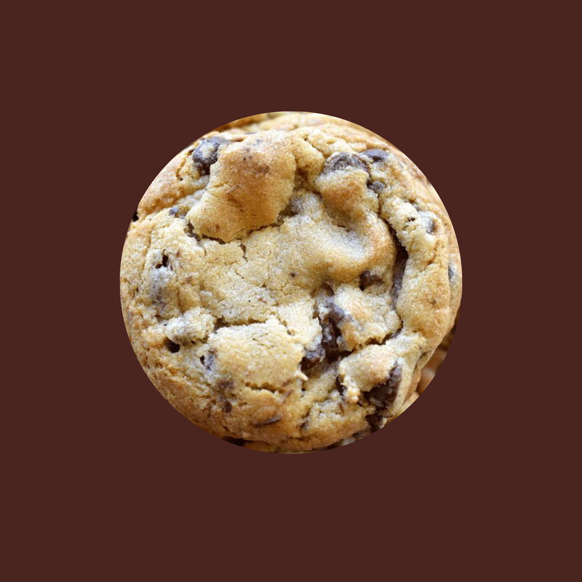 Chocolate chip cookie